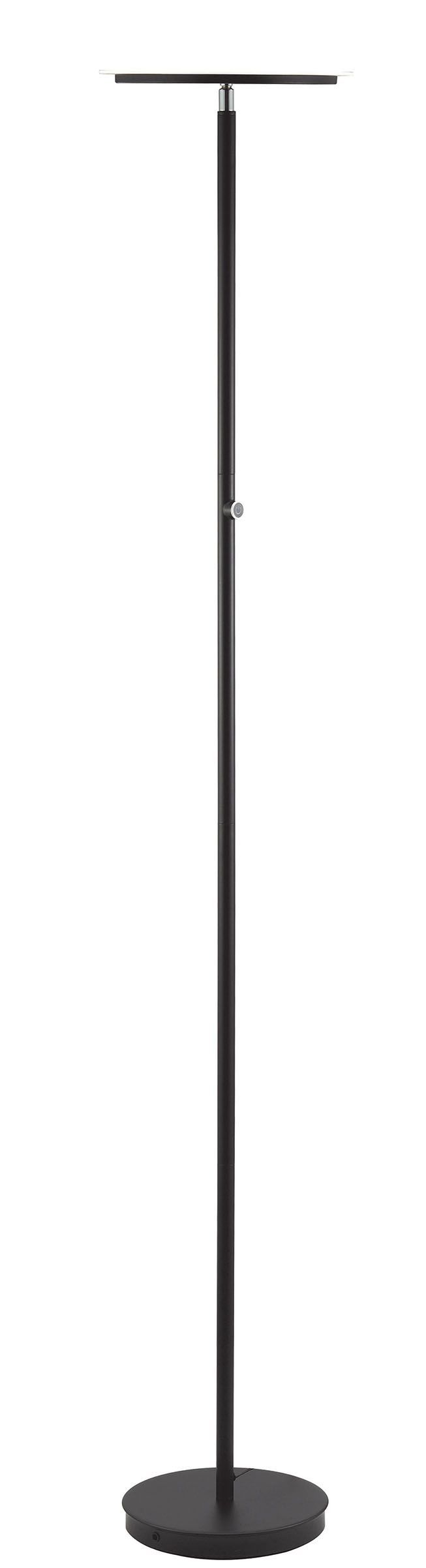 Massey Floor Lamp in Black 40201