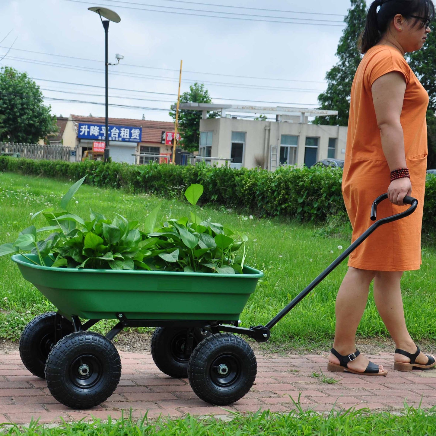 folding wagon  Poly Garden Dump Cart with Steel Frame and 10-inPneumatic Tires, 300-Pound Capacity, Green