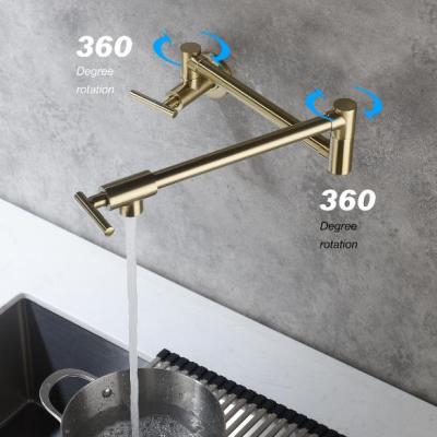 Pot faucet wall-mounted faucet(gold)