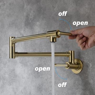 Pot faucet wall-mounted faucet(gold)