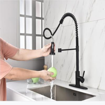 Stainless steel kitchen faucet