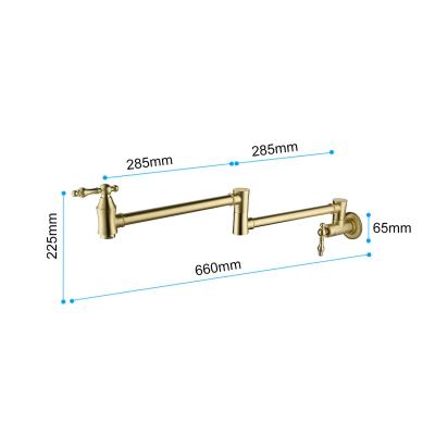 Pot faucet wall-mounted faucet (gold)