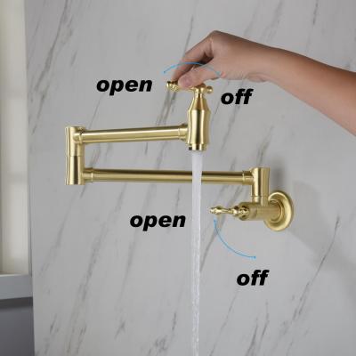 Pot faucet wall-mounted faucet (gold)