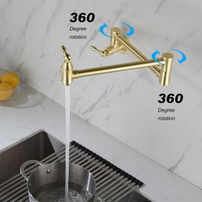 Pot faucet wall-mounted faucet (gold)