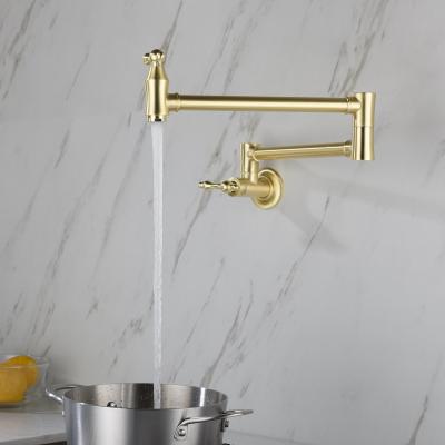 Pot faucet wall-mounted faucet (gold)