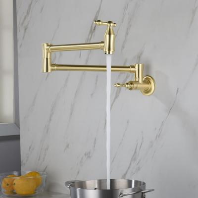 Pot faucet wall-mounted faucet (gold)