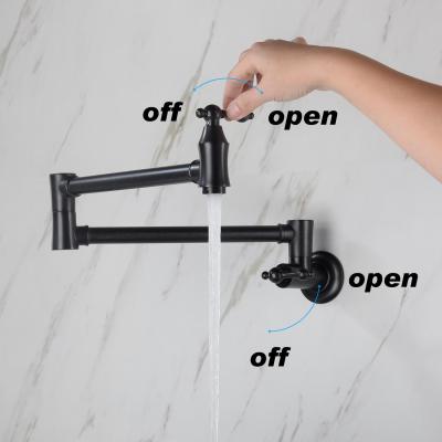 Pot faucet wall-mounted faucet (black)