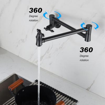 Pot faucet wall-mounted faucet (black)