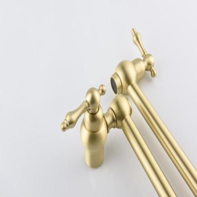 Wall-mounted flowerpot faucet (gold)