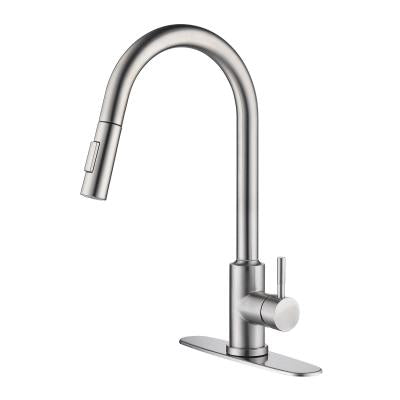 Stainless steel kitchen faucet