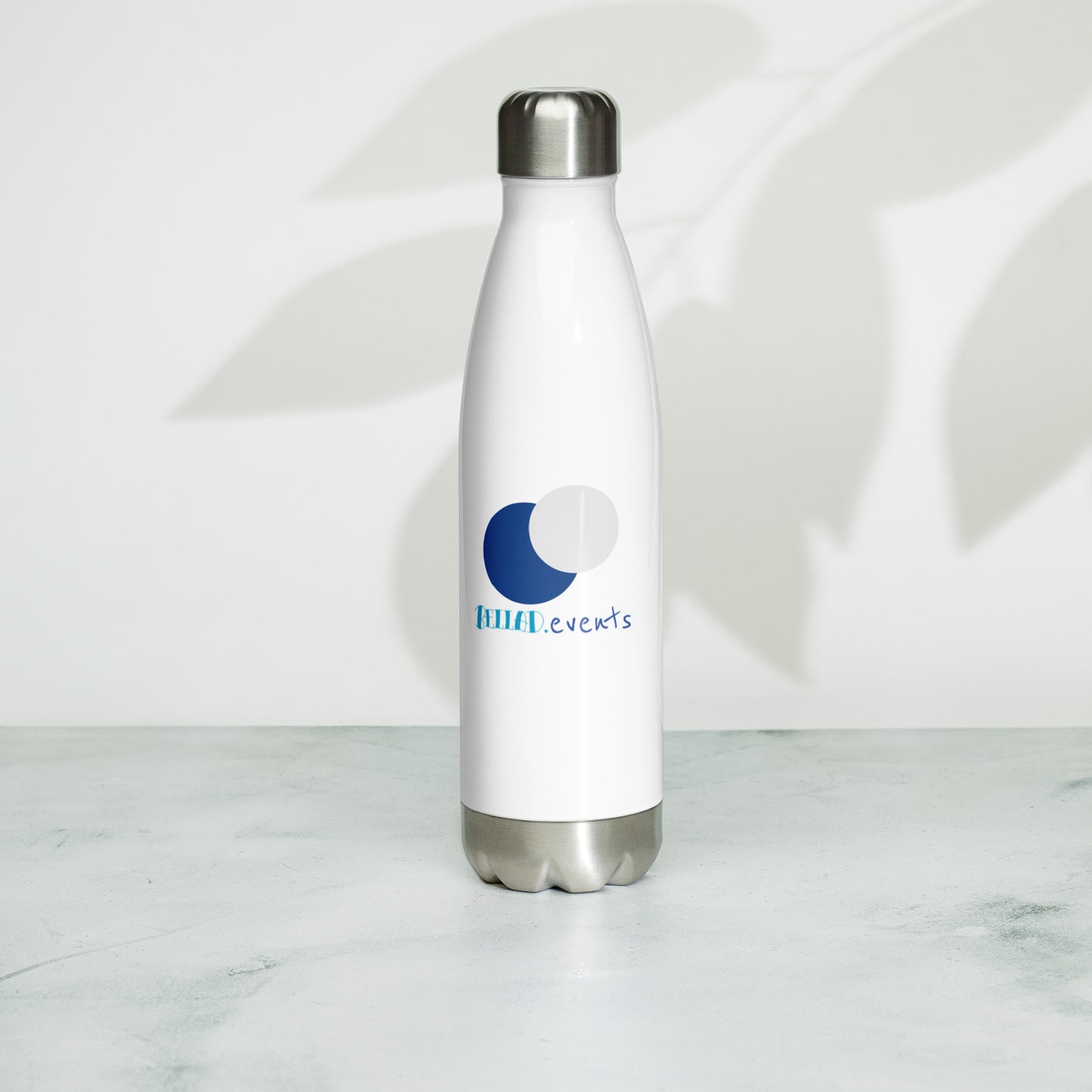 Stainless Steel Water Bottle