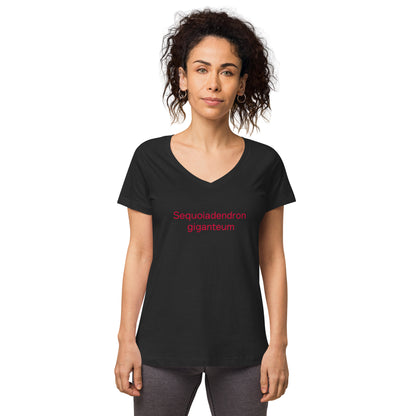 Women’s fitted v-neck t-shirt